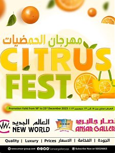 Ansar gallery  Citrus Fest