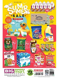 Big mart Summer Sale - Al Teejan Street, Zayed City