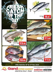 Grand Hypermarket Catch of The Day - Grand Hypermarket Jebel Ali