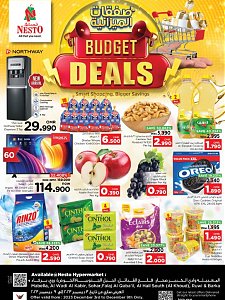 Nesto Hypermarket Budget Deals