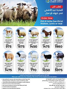 Union Cooperative Society - Eid Al Adha Sacrificial & Mutton, Lamb Or Veal